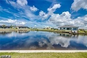 1042 NW 32nd PL - Cape Coral FL - Photo 43